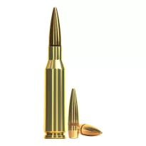 Am. Kul. Sellier&Bellot - 5,45x39 FMJ 3,9g - Opk. 20 szt. - 2