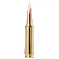 Am. kul. Norma Range & Training FMJ 6.5 Creedmoor 124 gr / 8 g - opk. 50 szt. - 2