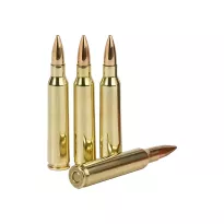 Am. Kul. PMC - .223 Rem 55gr FMJ - Opk. 20 szt. - 3