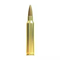 Am. Kul. Sellier&Bellot - .223 Rem 69gr HPBT - Opk. 20 szt. - 2