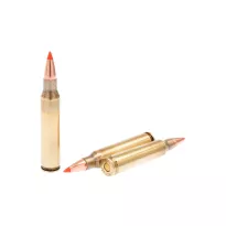 Am. Kul. Fiocchi EPN - .223 Rem 55gr EPN - Opk. 50 szt. - 2