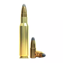 Am. Kul. Sellier&Bellot SPCE - .308 Win 9,7g SPCE - 2