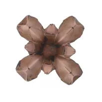 Am. Kul. Geco Action Extreme - .45 ACP Action Extreme - Opk. 20 szt. - 3