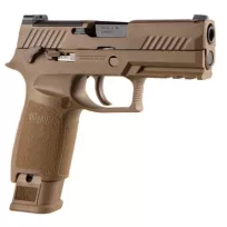 Sig Sauer M18 - 4