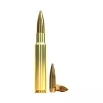 Am. Kul. Sellier&Bellot FMJ - 7,5x55 Swiss 11,3g FMJ - 2