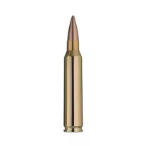 Amunicja RWS DM41A1 5,56x45 62gr - 4