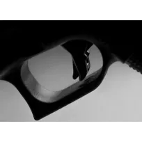 Glock 19 Gen. 6 - OR - 7